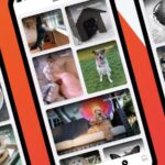 5 Best Mobile Porn Apps for Android